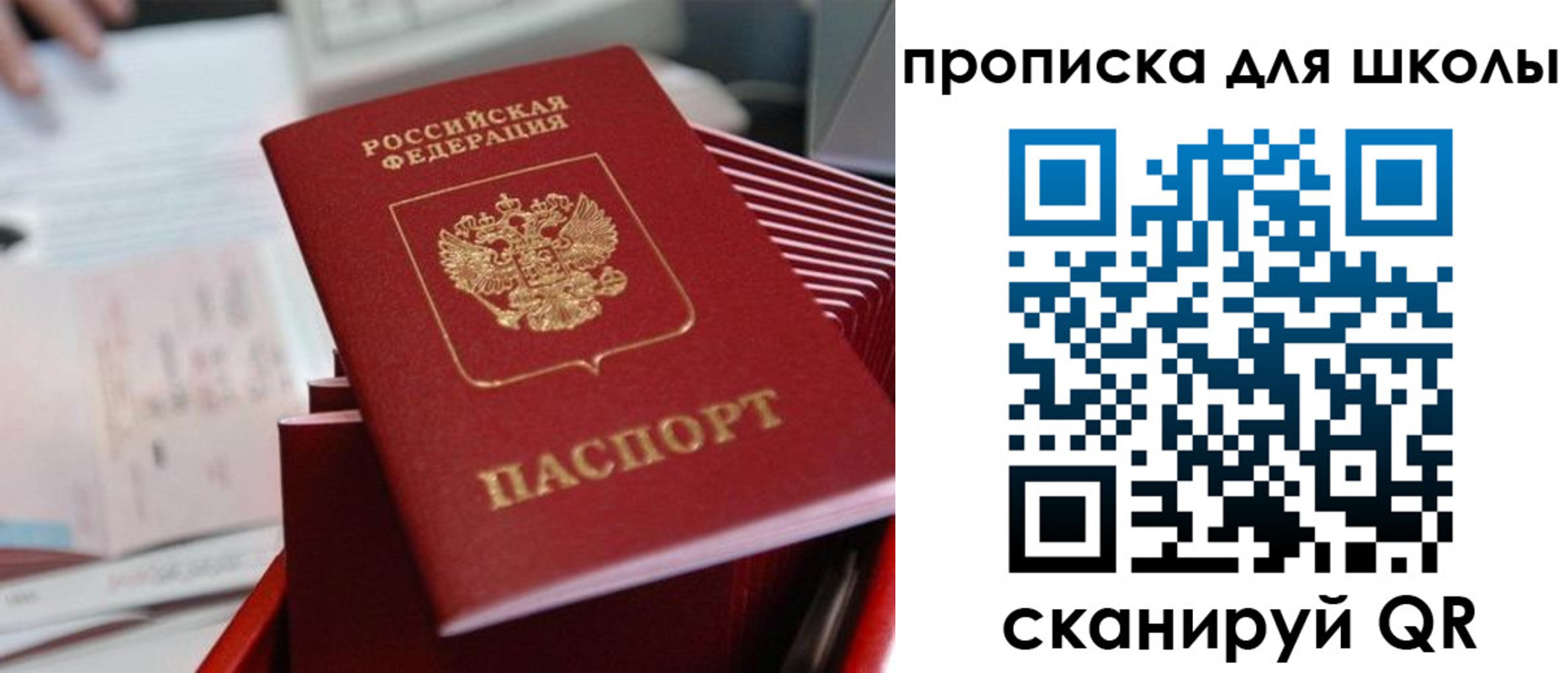 прописка для школы в Сураже